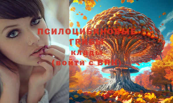 не бодяженный Козельск