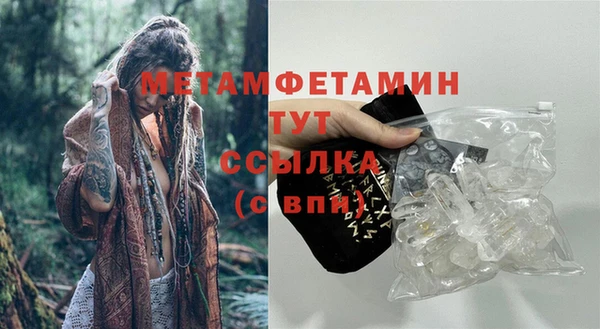 PSILOCYBIN Козловка