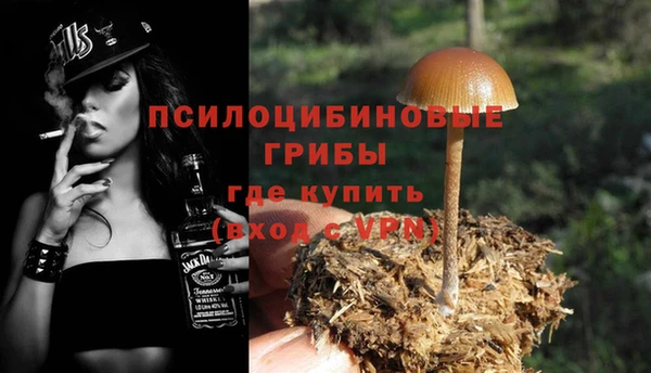 не бодяженный Козельск