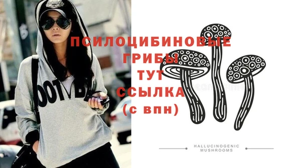 PSILOCYBIN Козловка