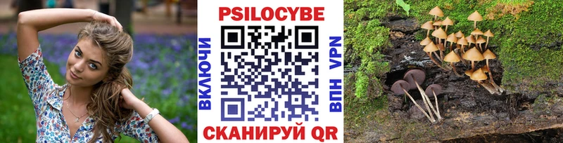 Галлюциногенные грибы Psilocybe  Купить  Бирюсинск 
